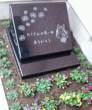 自宅の庭に埋葬する ペットの粉骨専門サイト